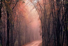 克罗地亚队压倒一切，欧锦赛无往不胜