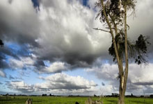 塞维利亚连胜，稳坐联赛榜首