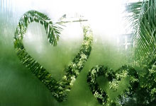 梅西指导新俱乐部连胜，欧洲豪门看好其夺冠