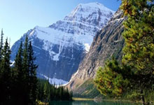 谢菲联主场罕见关键胜利，暂时排名争冠与降级悬殊