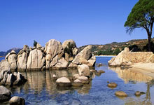 斯洛文尼亚队夺得世界杯亚军，勇往直前